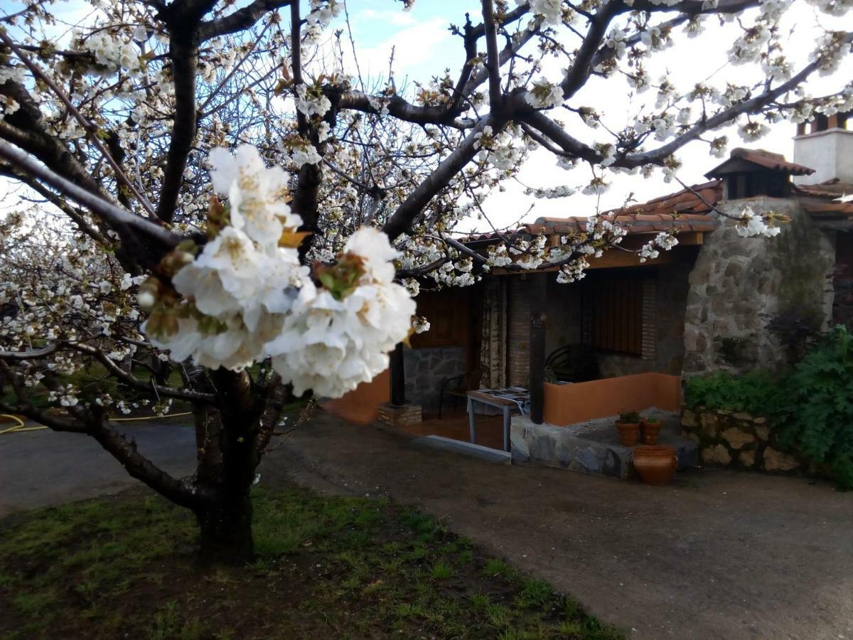 Mirador Los Cotos Torremenga ภายนอก รูปภาพ